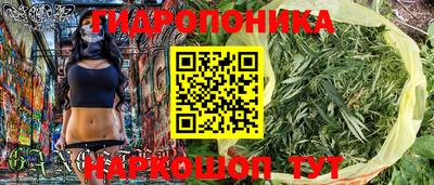 стафф Бузулук