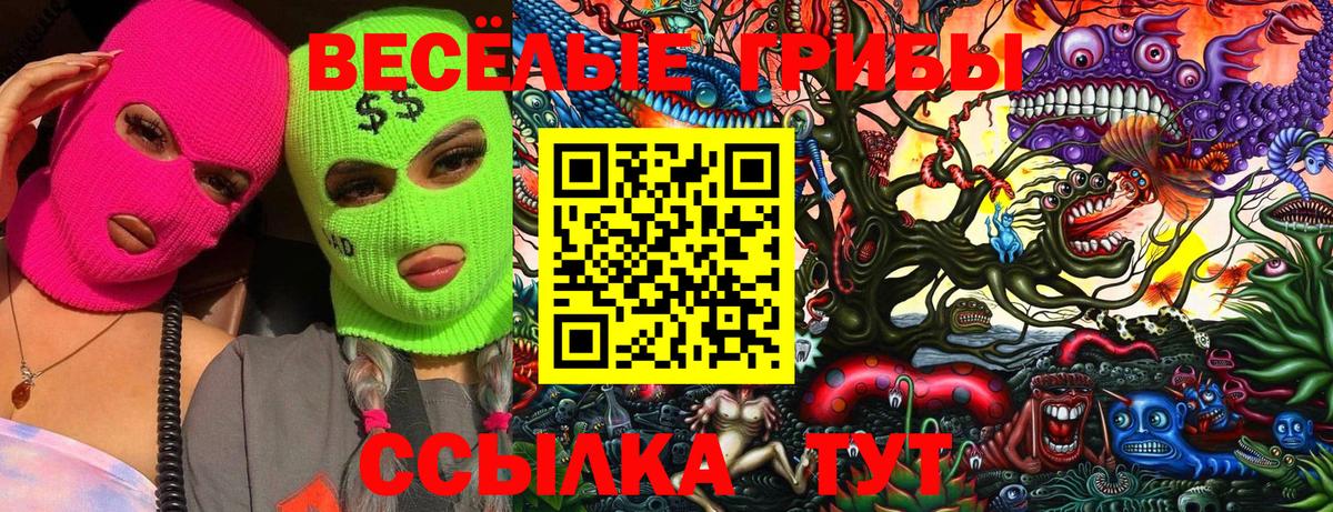 Семёнов  Галлюциногенные грибы MAGIC MUSHROOMS  Вход с VPN 