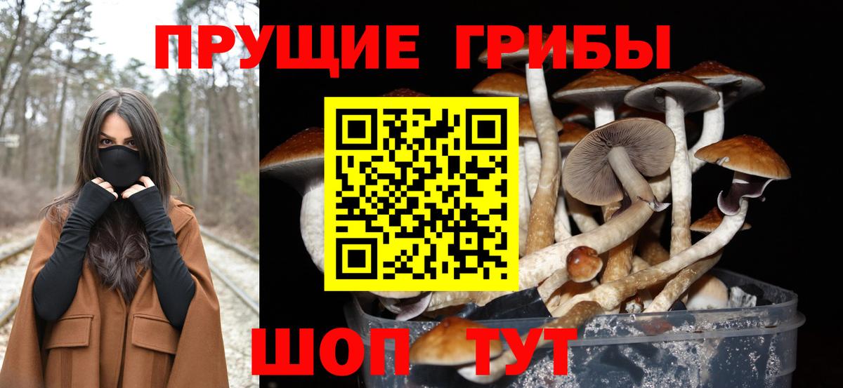 Псилоцибиновые грибы мицелий Семёнов